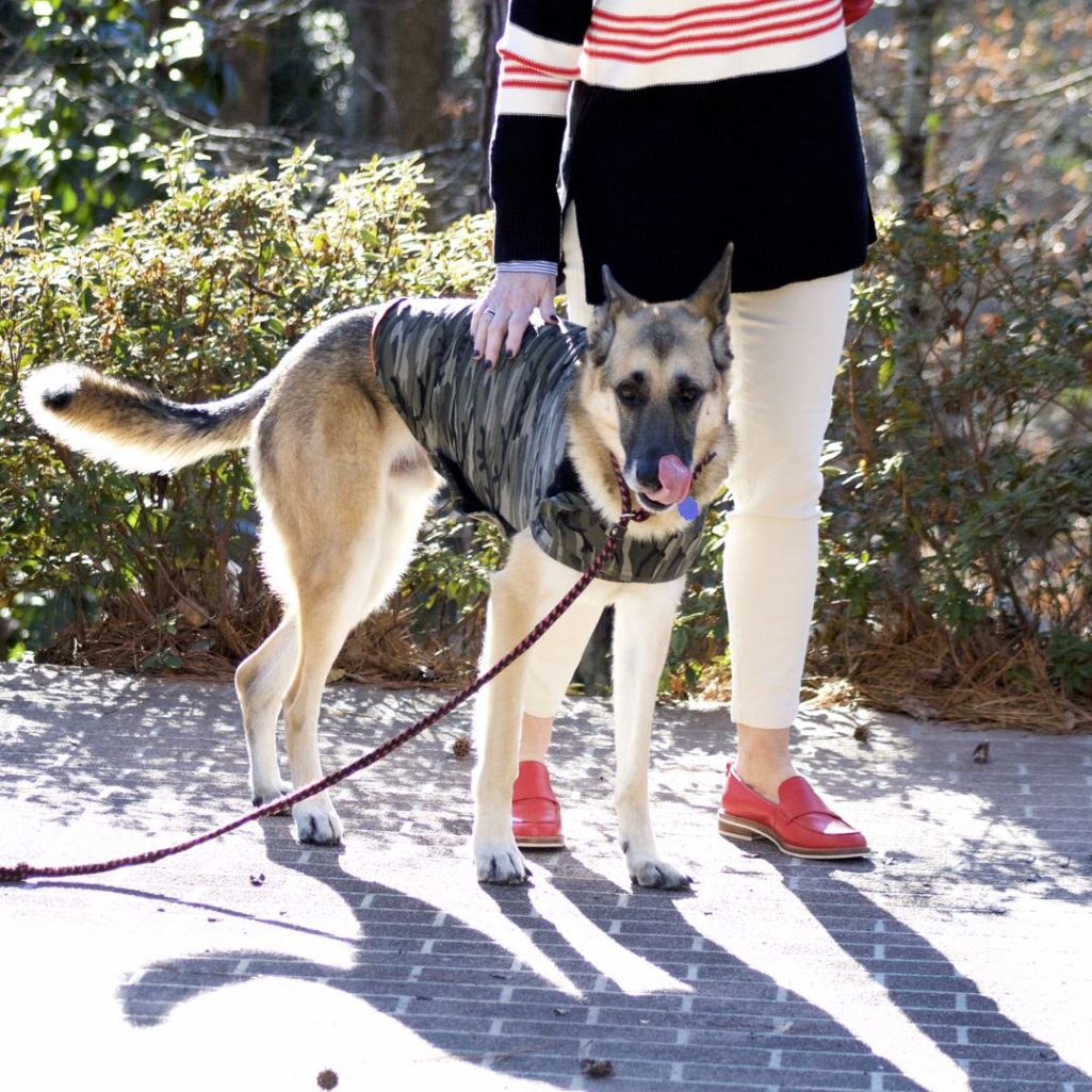 ann taylor striped sweater, j.crew striped shirt, j.crew cargo pants, coach loafers