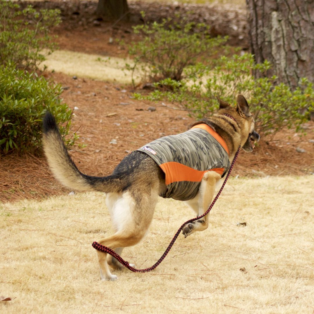 j.crew cashmere sweater, j.crew utility jacket, banana republic girlfriend jeans, madewell leopard smoking slippers