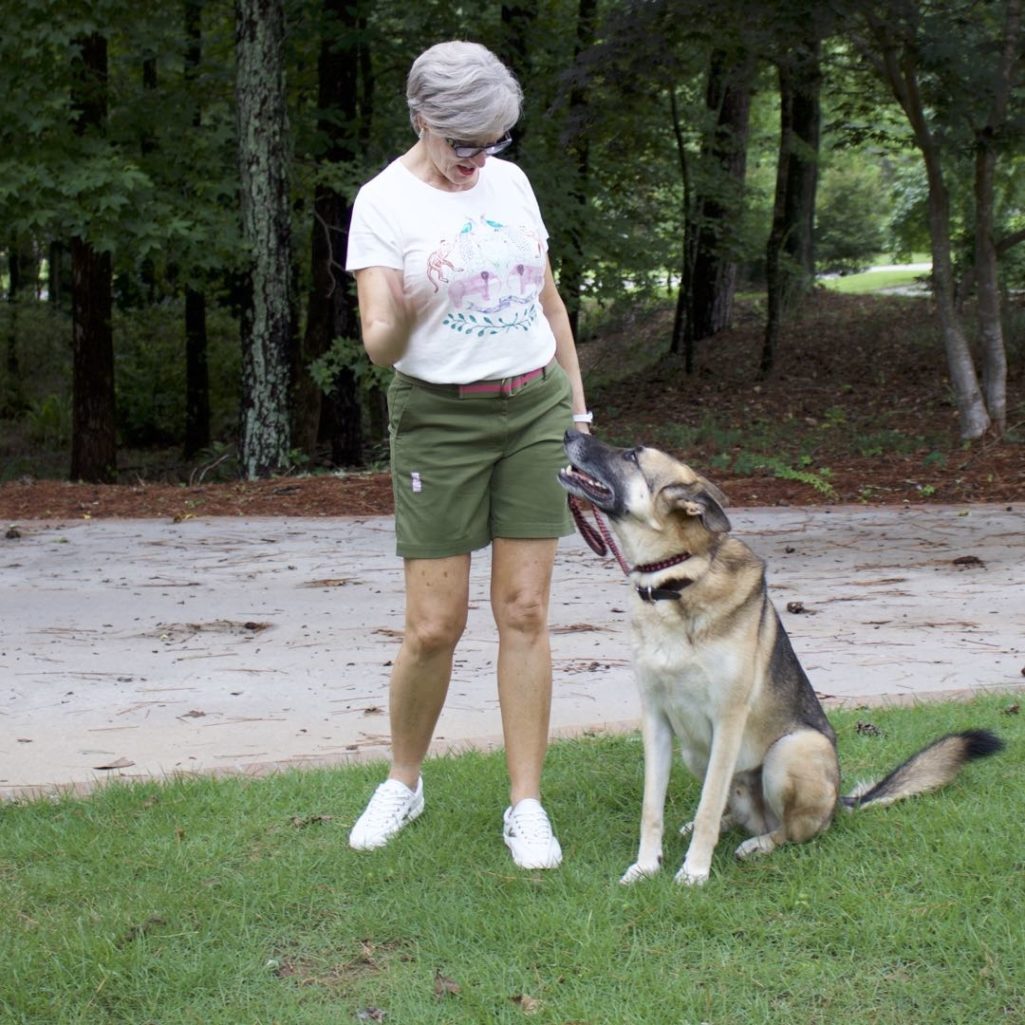 talbots distressed shorts, j.crew graphic tee, tretorn sneakers