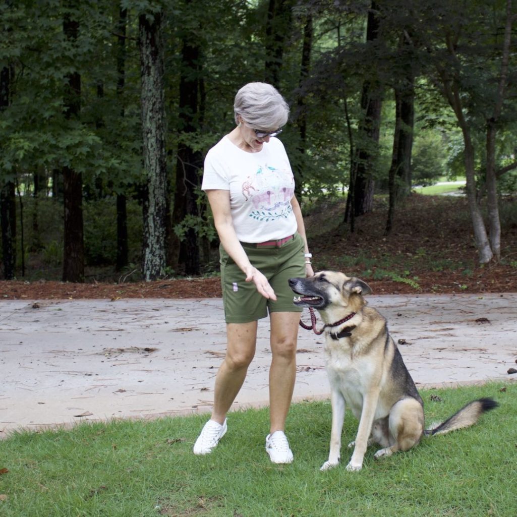 talbots distressed shorts, j.crew graphic tee, tretorn sneakers