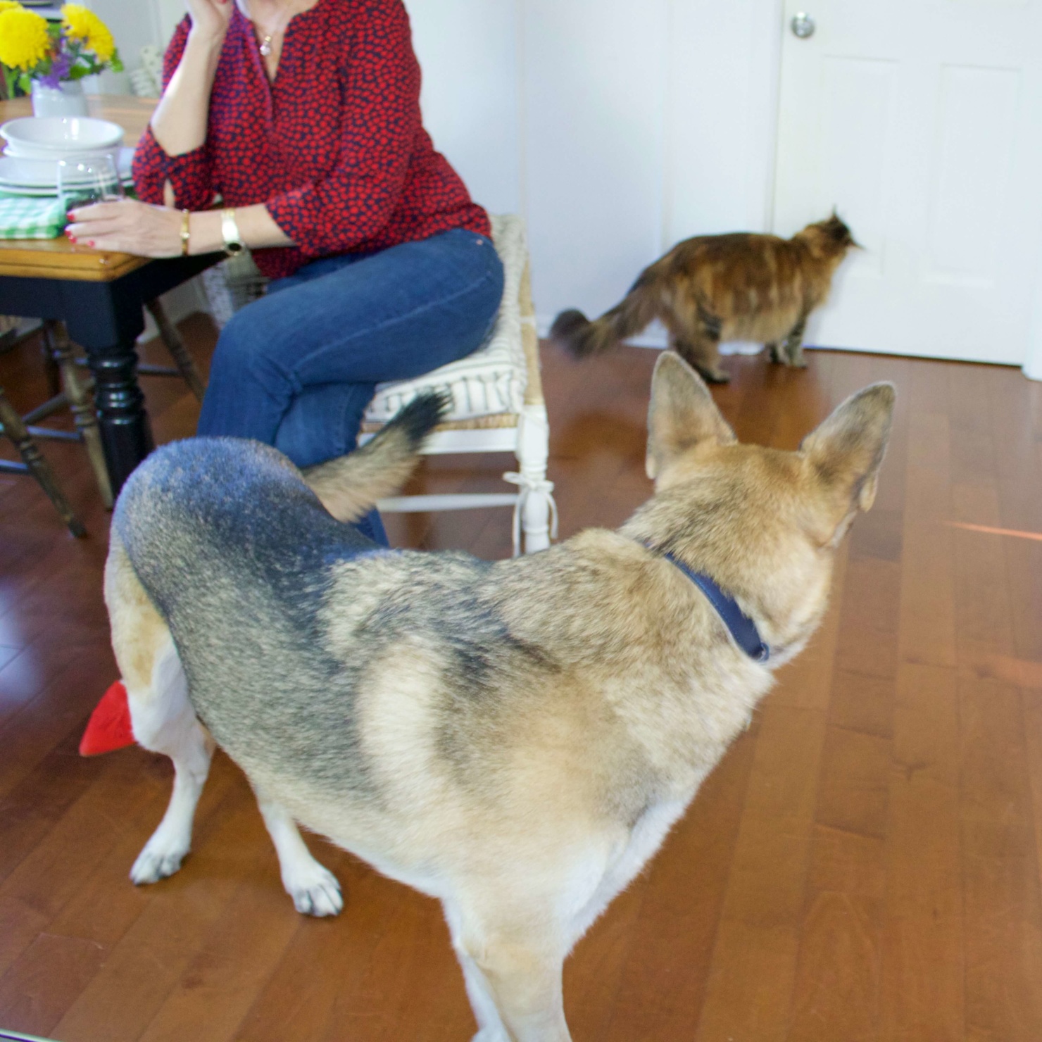 beth from Style at a Certain Age wears a Talbots red heart blouse, girlfriend jeans, and red shoes