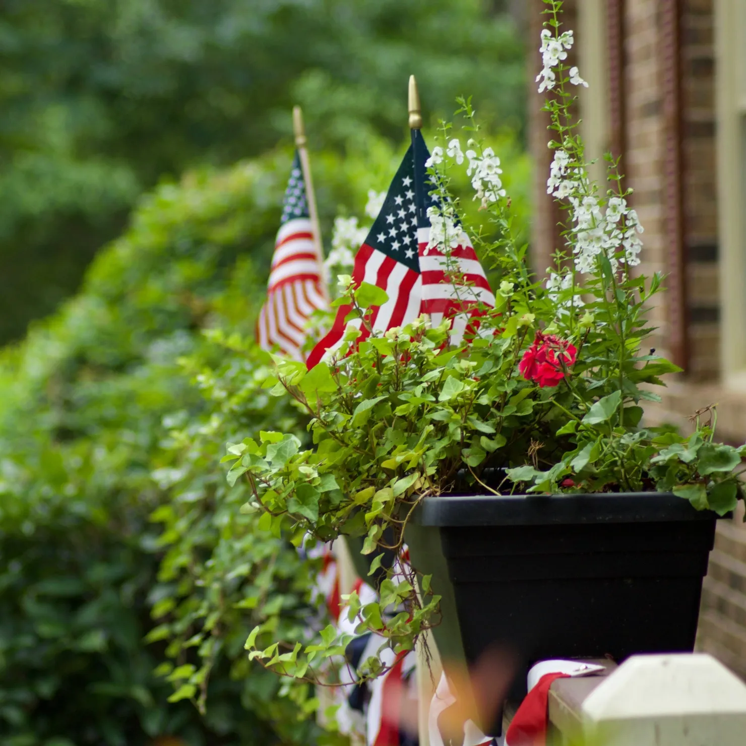 4th of July flags