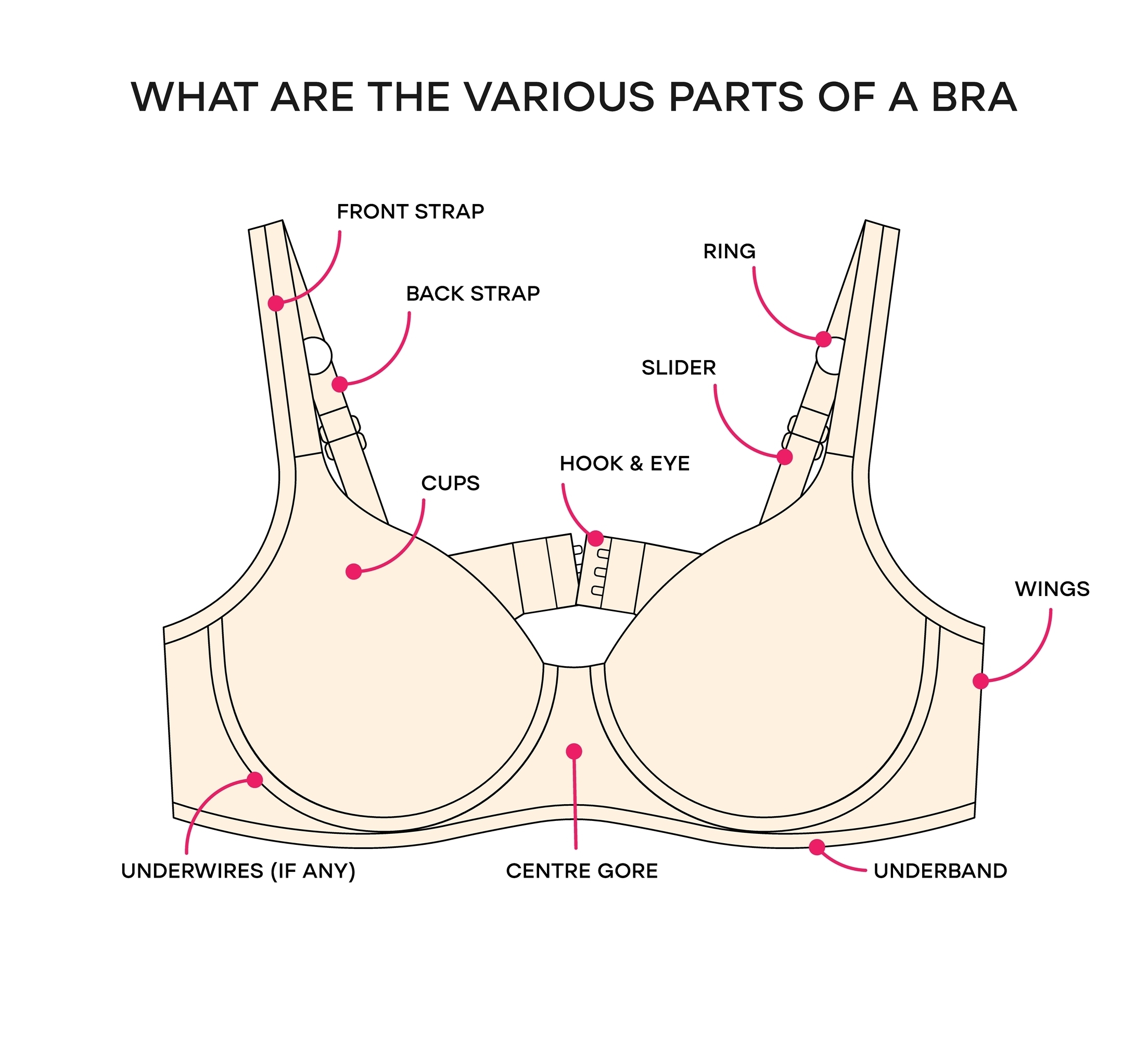 What,Are,The,Various,Parts,Of,A,Bra.,Anatomy,Of