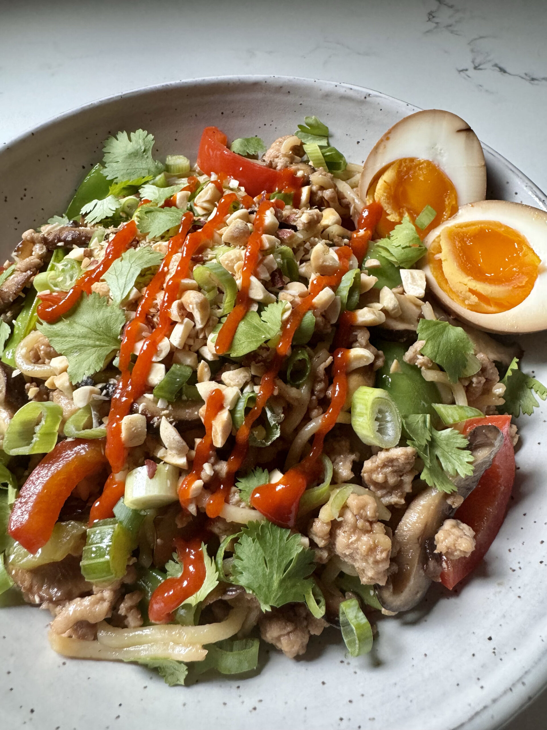 Stir Fry Noodles with Pork and Veggies