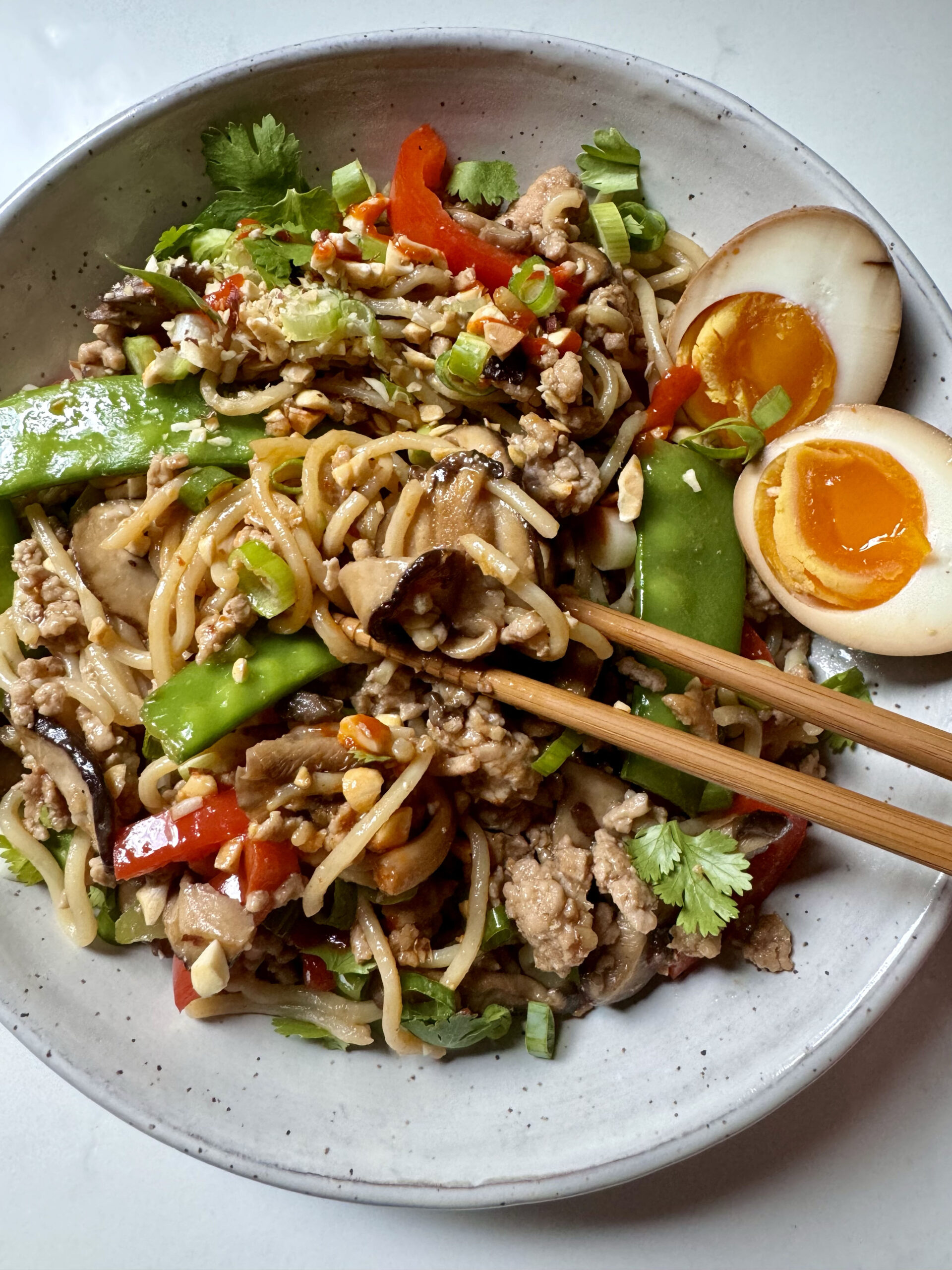 Stir Fry Noodles with Pork and Veggies