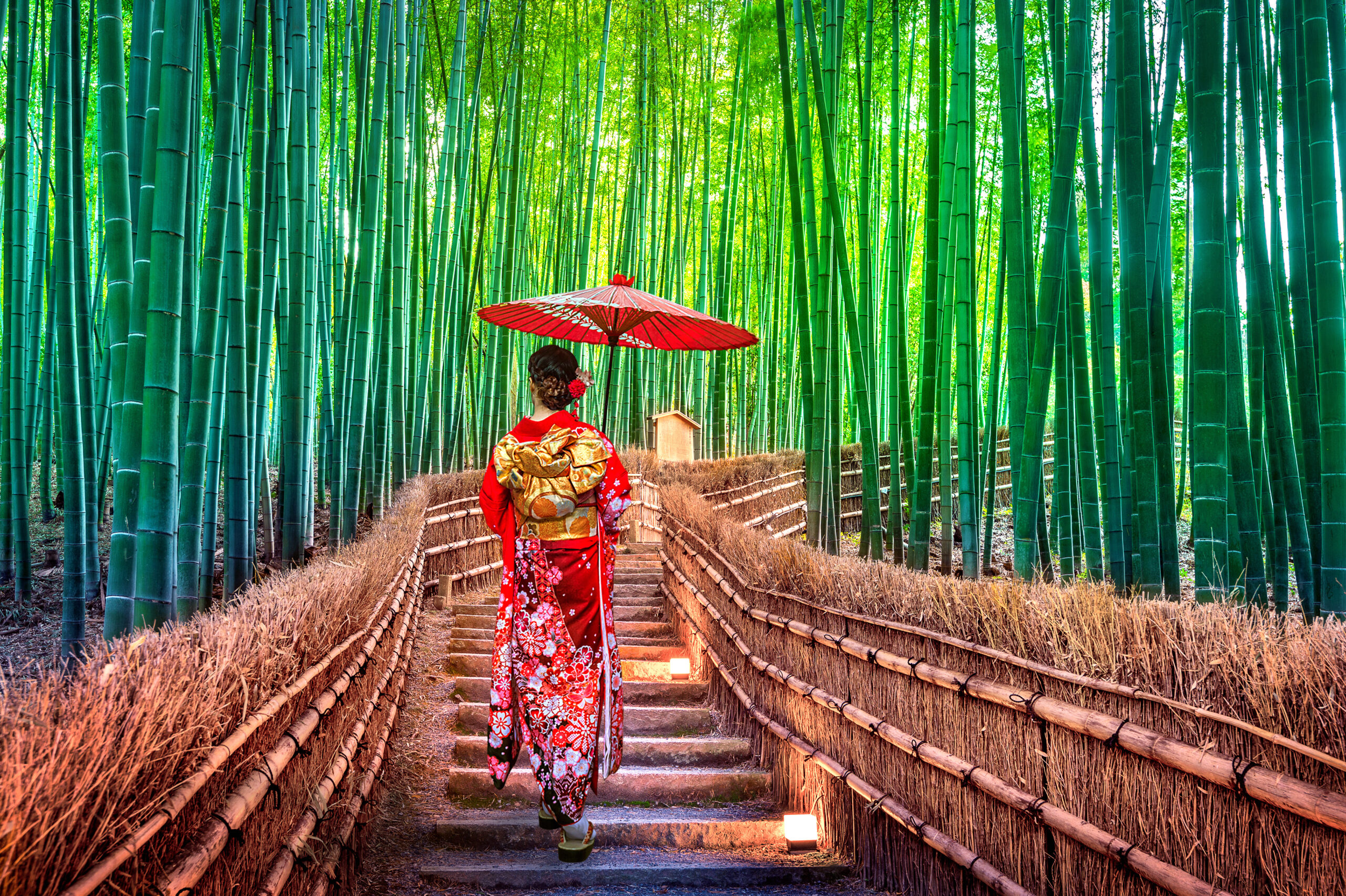 Arashiyama Travel Destinations for Seniors