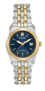 Citizen Corso Watch