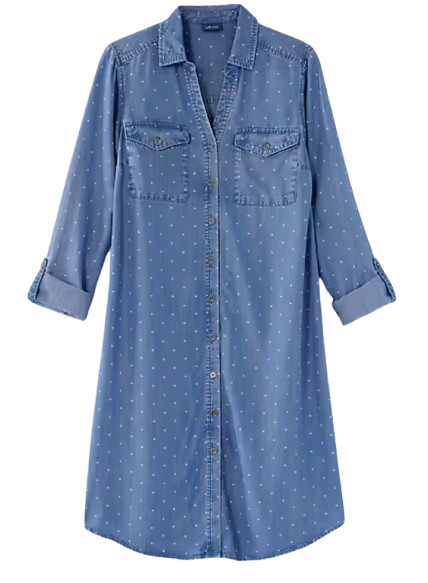 J.Jill Indigo Polka-Dot Shirtdress