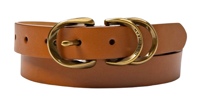 Nordstrom Wide Brown Belt