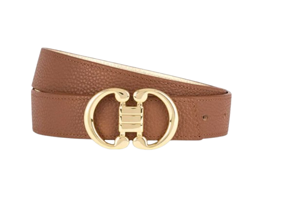 Talbots Brown Gold Buckle Belt