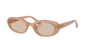 Nordstrom Ray Ban Oval Sunglasses